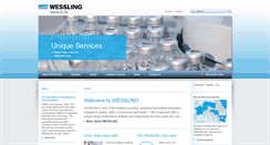 Desktop Screenshot of cn.wessling-group.com